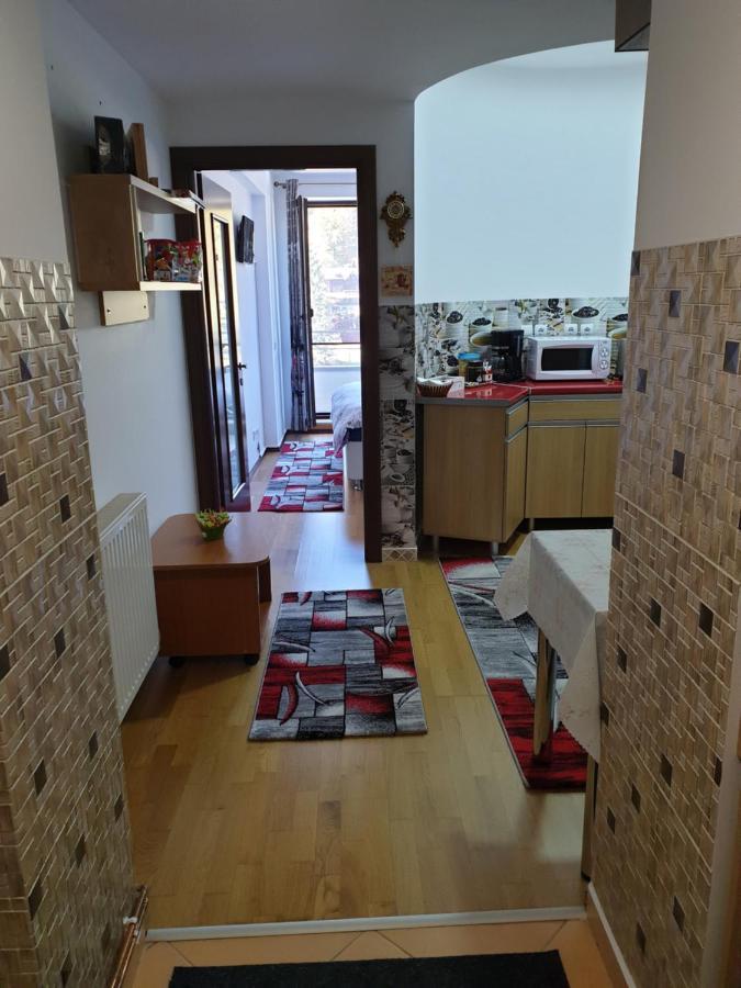 Sophie Apartament Lägenhet Sinaia Exteriör bild