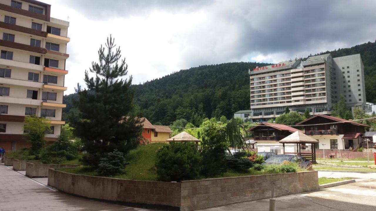 Sophie Apartament Lägenhet Sinaia Exteriör bild