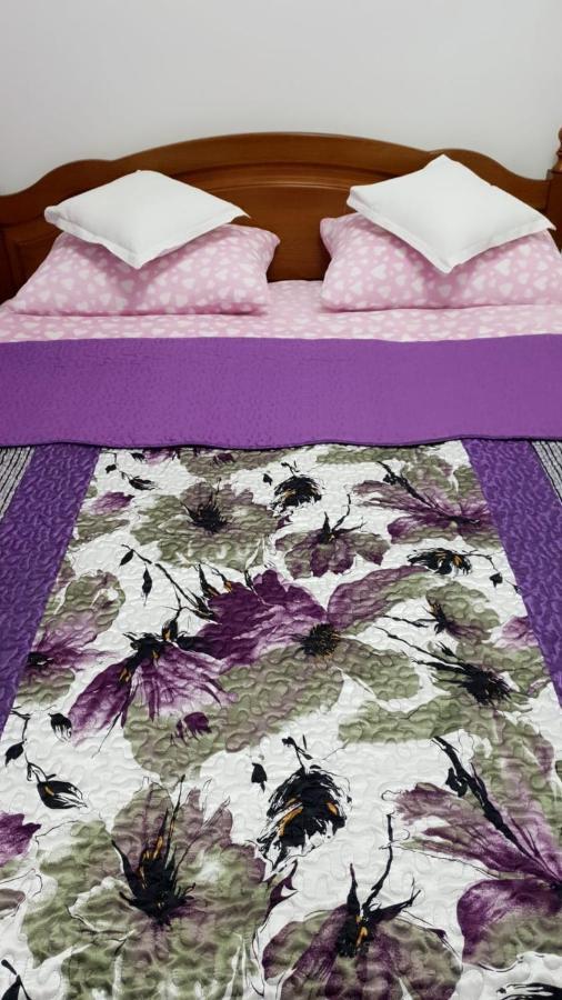 Sophie Apartament Lägenhet Sinaia Exteriör bild