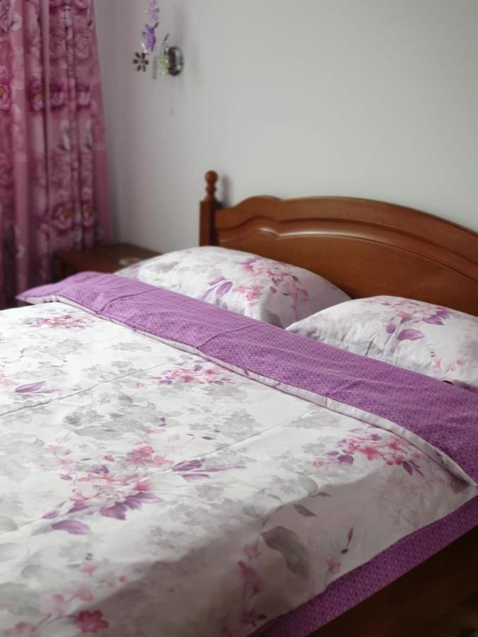 Sophie Apartament Lägenhet Sinaia Exteriör bild