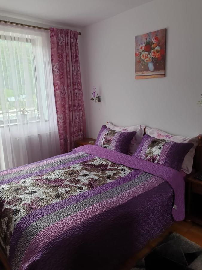 Sophie Apartament Lägenhet Sinaia Exteriör bild