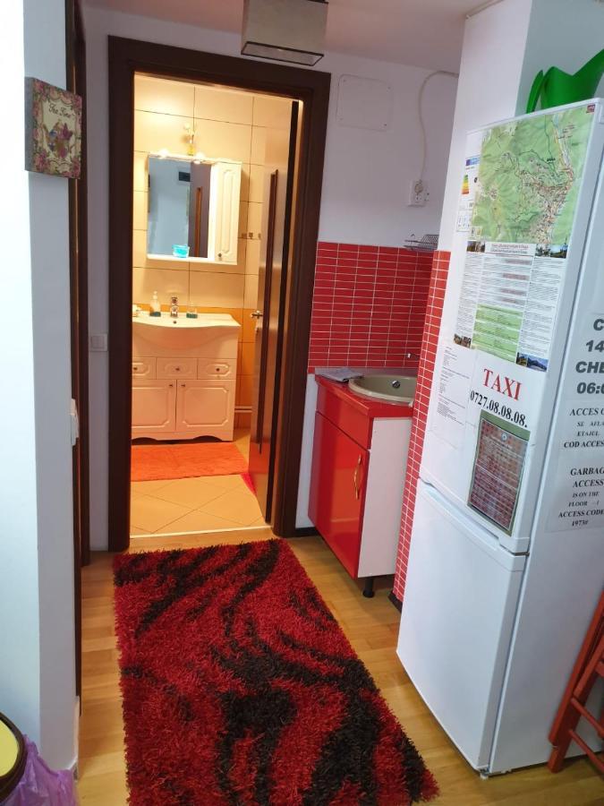 Sophie Apartament Lägenhet Sinaia Exteriör bild