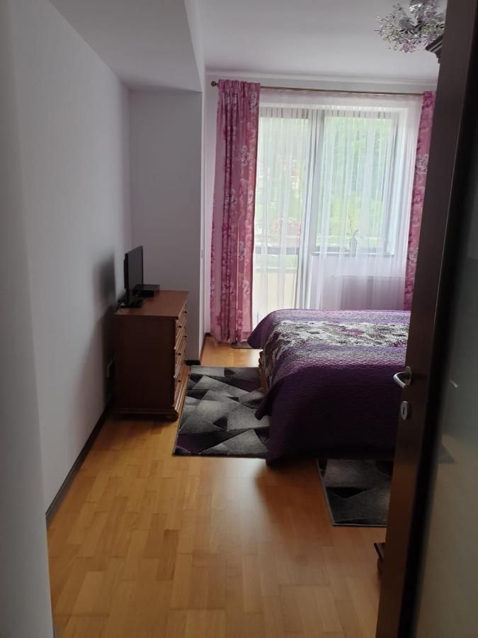 Sophie Apartament Lägenhet Sinaia Exteriör bild