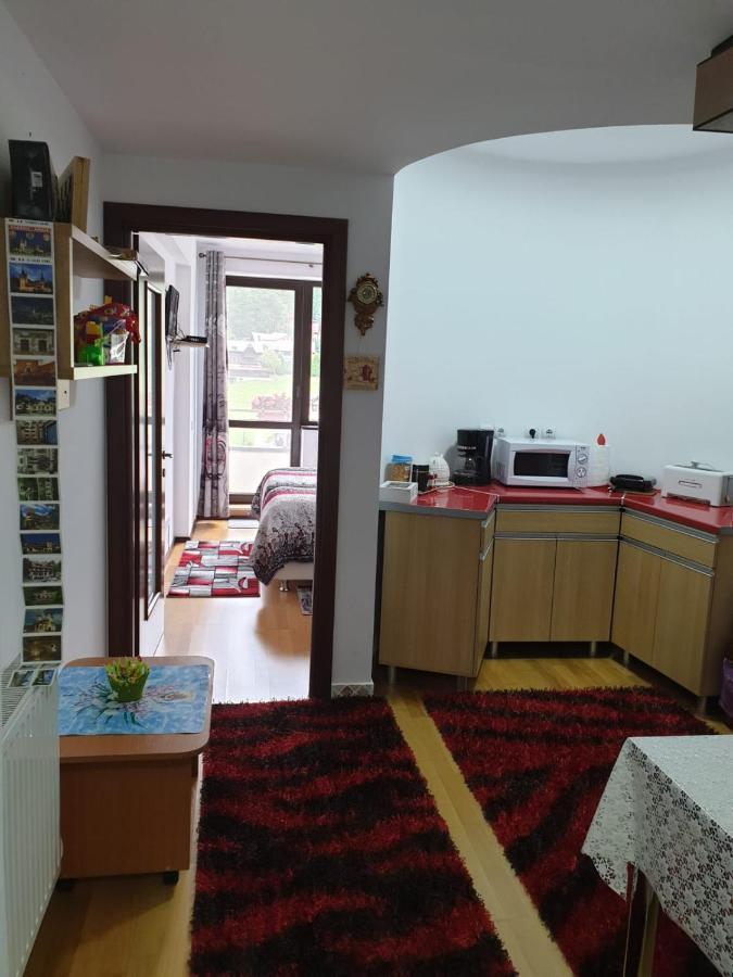 Sophie Apartament Lägenhet Sinaia Exteriör bild