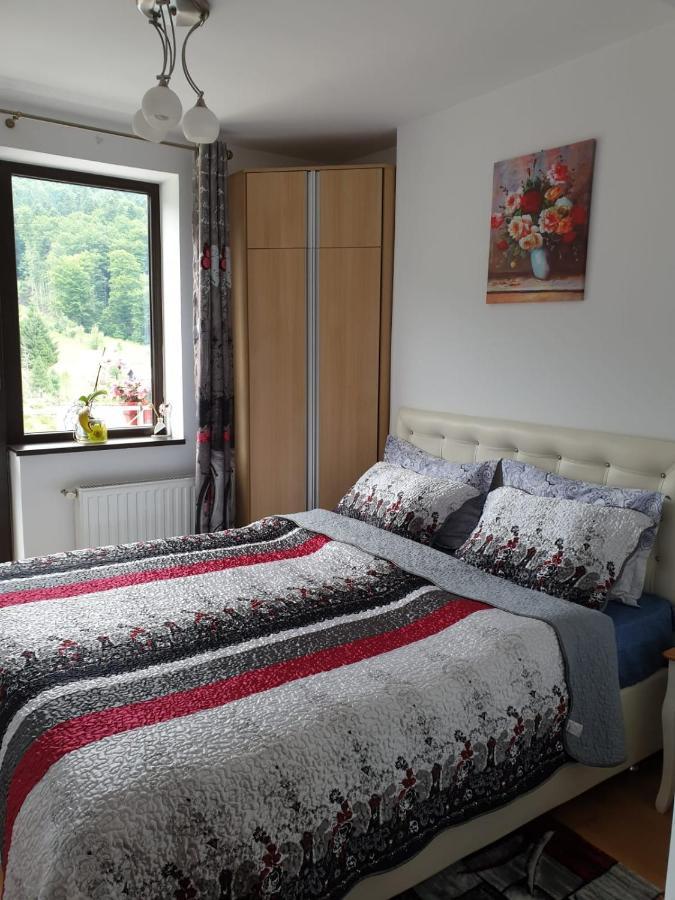 Sophie Apartament Lägenhet Sinaia Exteriör bild